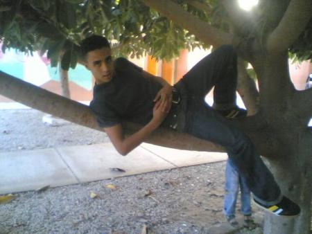 le pt  sharo